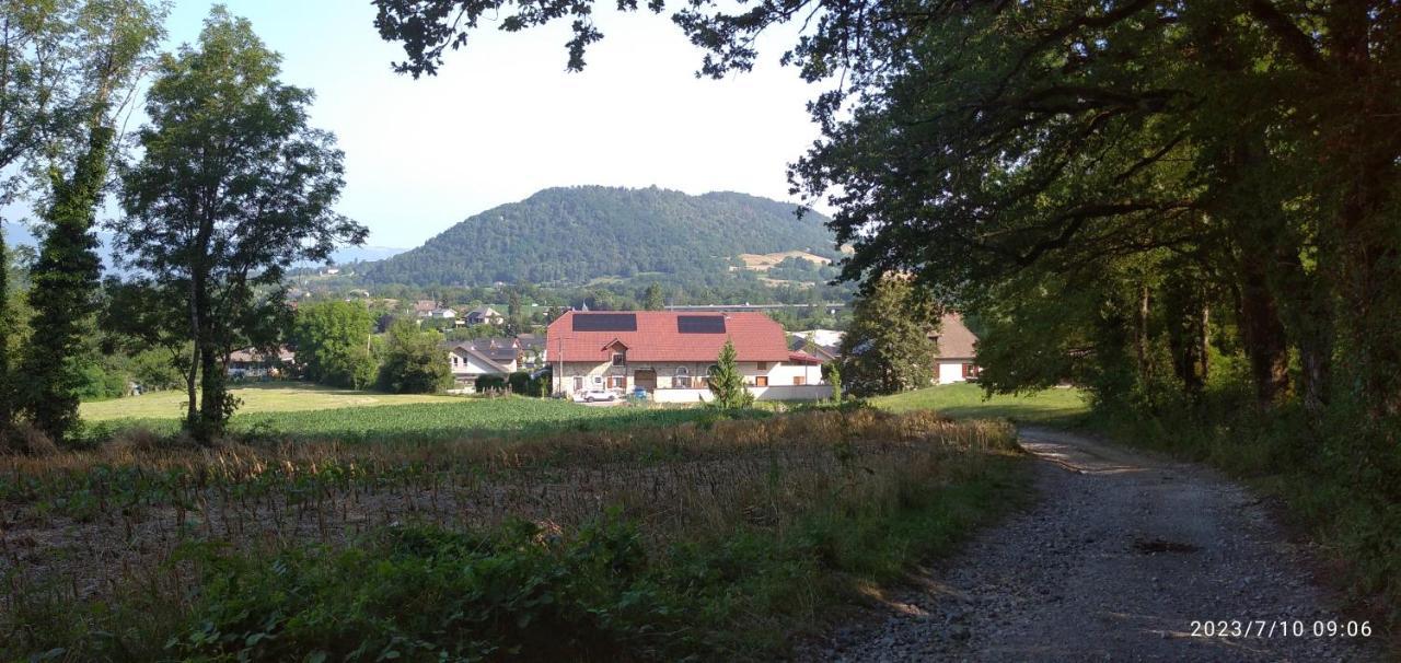 Gite De Cret Vial Alby-sur-Cheran Bagian luar foto